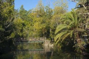 Termas Da Curia Spa Resort Экстерьер фото